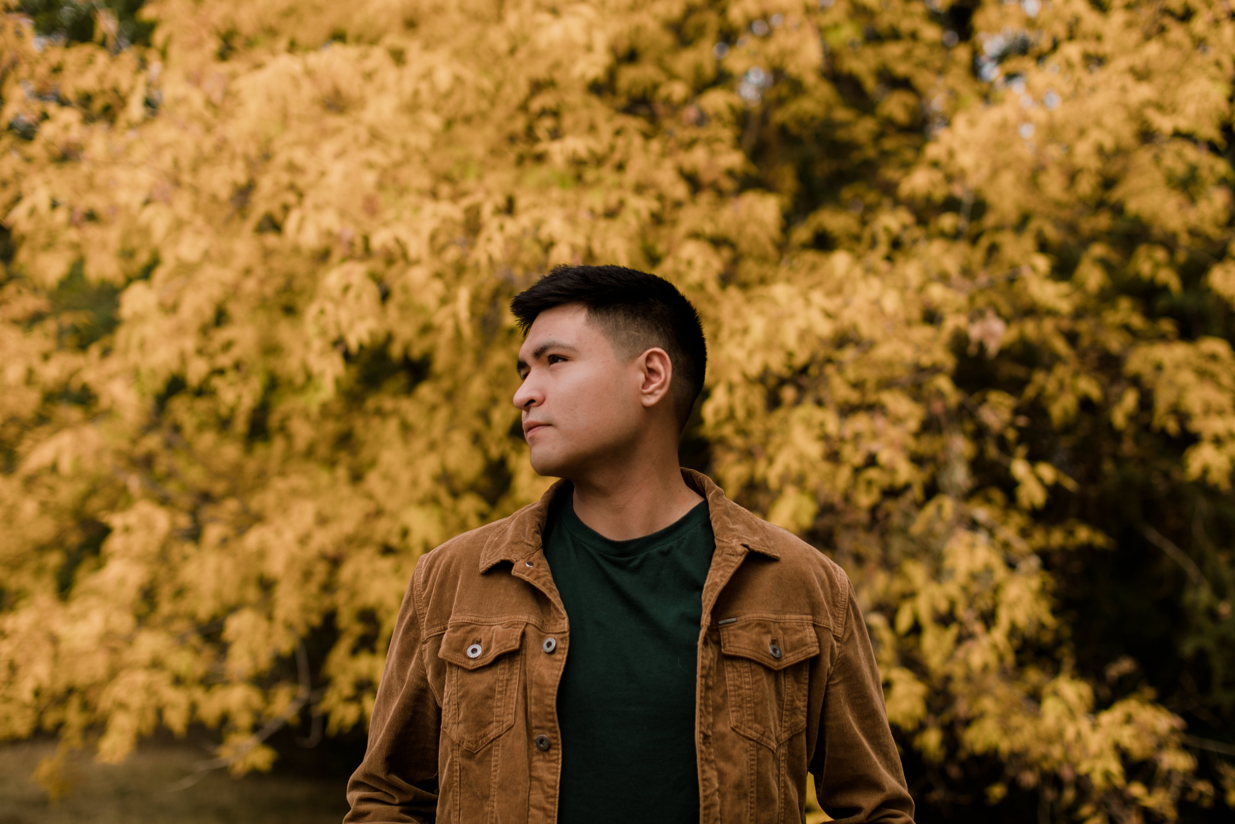 Daniel W - Verified Customer